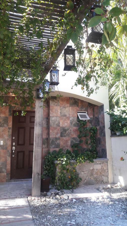 Casa Cacto En San Jose Del Cabo Villa Bagian luar foto